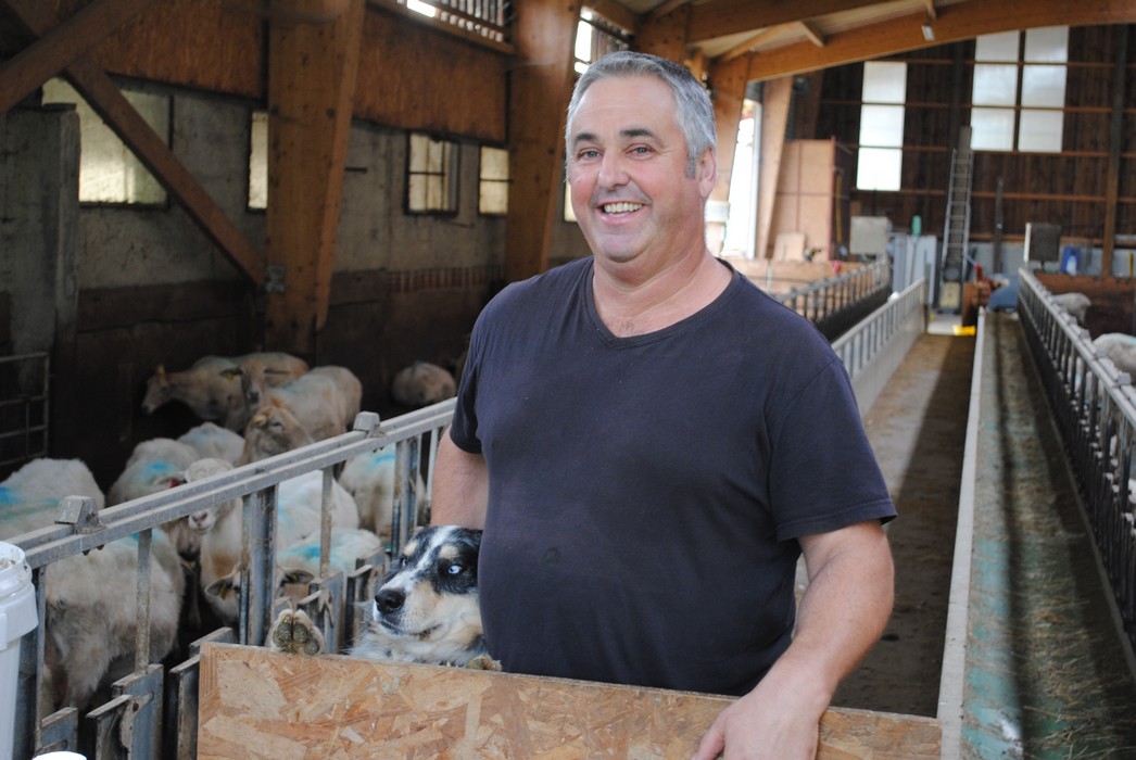 Hatsarrea gaitz, bena gero bortüka ontsa igaran da Organbidean!